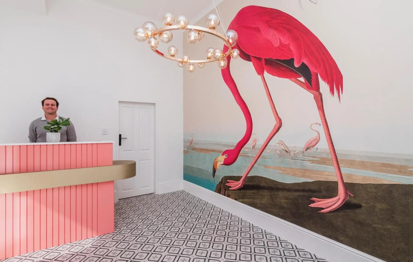 Flamingo On Hope Apartment Cape Town South Africa