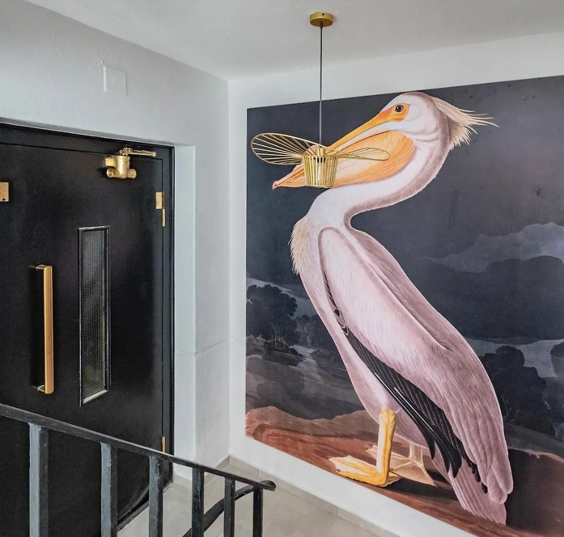Flamingo On Hope Apartment Cape Town